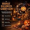 Solar Halloween Black Cat & Pumpkin Moon Garden Stake Light, 2026 New Solar Pumpkins Lantern Outdoor Halloween Yard Decor for Garden, Patio, Lawn, Walkway